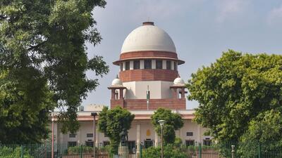 The court order came on an application moved by wildlife expert MK Ranjitsinh (PTI) The court order came on an application moved by wildlife expert MK Ranjitsinh (PTI)