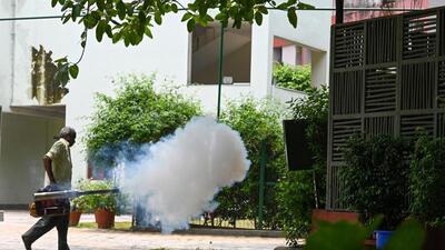 The current level of dengue case count is the highest reported in the last six years. (HT Photo)