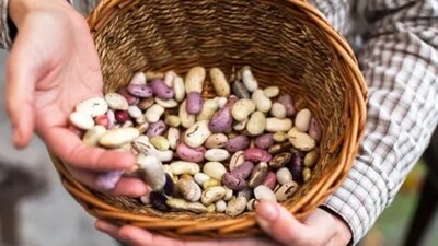 Selenium-rich foods such as beans and legumes help in elevating mood and reducing symptoms of anxiety. (Unsplash) Selenium-rich foods such as beans and legumes help in elevating mood and reducing symptoms of anxiety. (Unsplash)