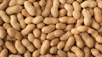 A woman had to buy 48 peanut packets on a flight due to her severe allergy. (Unsplash) A woman had to buy 48 peanut packets on a flight due to her severe allergy. (Unsplash)