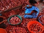 The onion buffer is being maintained by the department of consumer affairs under a price stabilization fund, which aims at effective market intervention to cool prices when availability plunges. (HT File) The onion buffer is being maintained by the department of consumer affairs under a price stabilization fund, which aims at effective market intervention to cool prices when availability plunges. (HT File)