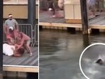 Aaren is seen jumping in the river and swimming over to help the staffer being beaten up (@_dreadadon/X)