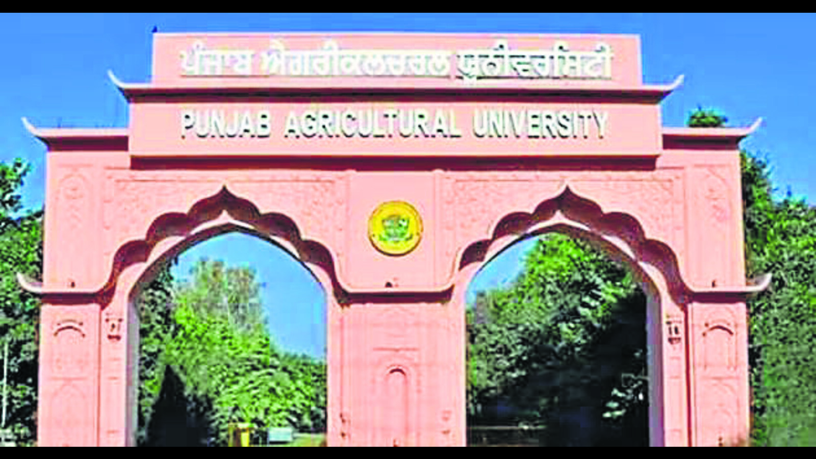 Ludhiana: PAU lays emphasis on digital literacy - Vimarsana News