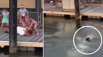 Aaren is seen jumping in the river and swimming over to help the staffer being beaten up (@_dreadadon/X)