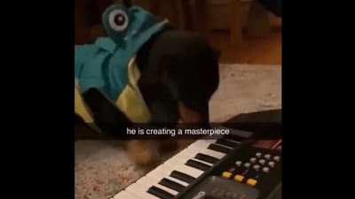 The image shows a dog playing an electrical keyboard. (Screengrab) The image shows a dog playing an electrical keyboard. (Screengrab)