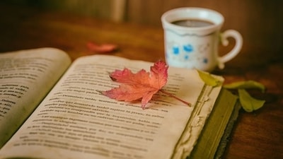 Book Lovers Day 2023: Date, history, significance (Pixabay) Book Lovers Day 2023: Date, history, significance (Pixabay)