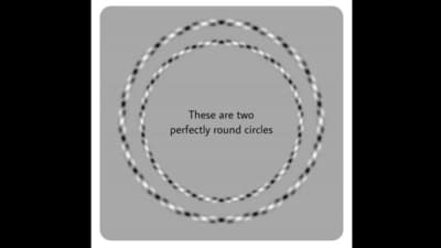 Optical Illusion: Can you count the number of circles? (Reddit/@jsalsman) Optical Illusion: Can you count the number of circles? (Reddit/@jsalsman)