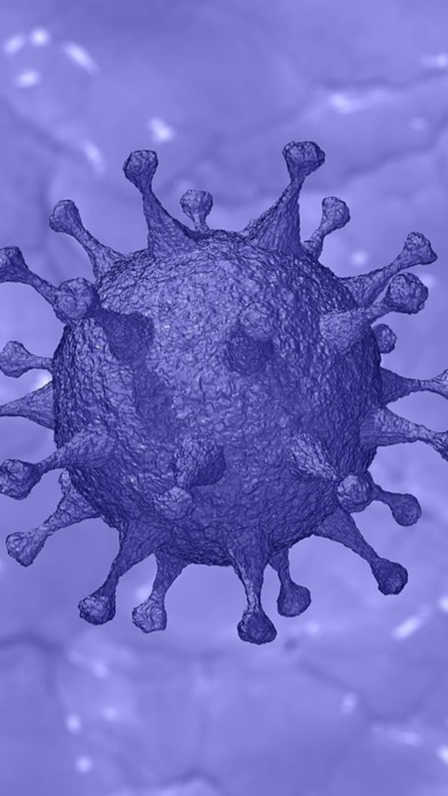 The rise in Corona cases could be due to waning immunity from previous infections or vaccinations and it's important to take booster shots to fight the virus (Pixabay)