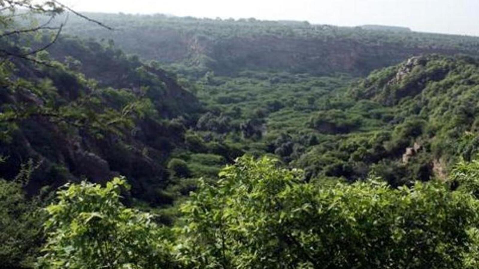 Why Naga People's Front has opposed the Forest Conservation (Amendment) Act 2023 | Latest News India - Vimarsana News