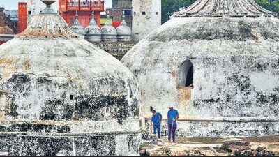 ASI team members during scientific survey at the Gyanvapi mosque complex, in Varanasi on August 8 (PTI)