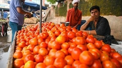 In July, tomatoes have played a big role, continuing to sell at very high prices (HT Photo)