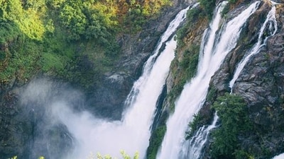 The famous Jog falls in Shivamogga district, Karnataka. (Shutterstock) The famous Jog falls in Shivamogga district, Karnataka. (Shutterstock)