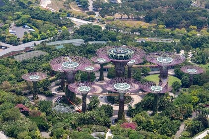 Gardens by the Bay is an iconic landmark in Singapore that is worth visiting. (Photo by Nick Fewings on Unsplash)