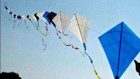 The Chinese strings are often prepared using glass, metal powder or coated with synthetic non-biodegradable substances. These strings cause severe and fatal injuries to people and animals as well as birds. (Pic for representation)