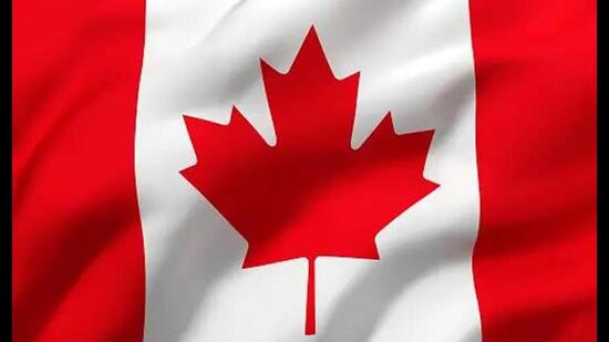 The investigation into the use of fraudulent documents to procure study permits for Canada was precipitated by Canadian law enforcement being increasingly concerned that some who ostensibly came for higher studies were involved in gang activity