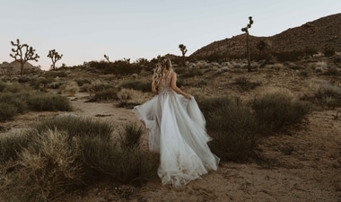 The photographer asked help from the Redditors on how to handle the situation (representational image). (Unsplash/@katieasalerno) The photographer asked help from the Redditors on how to handle the situation (representational image). (Unsplash/@katieasalerno)