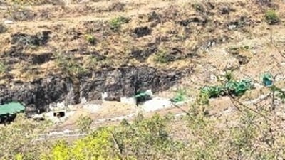A proposal declaring Sonewani as a sanctuary was withdrawn, largely due to the presence of four manganese mines there. (HT Photo)