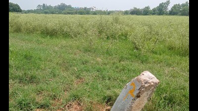 The Haryana government will be allotting 12 acres in Saketri to Chandigarh in exchange for 10 acres in Chandigarh near the IT Park road where it will construct an additional assembly premises. (Sant Arora/HT) The Haryana government will be allotting 12 acres in Saketri to Chandigarh in exchange for 10 acres in Chandigarh near the IT Park road where it will construct an additional assembly premises. (Sant Arora/HT)