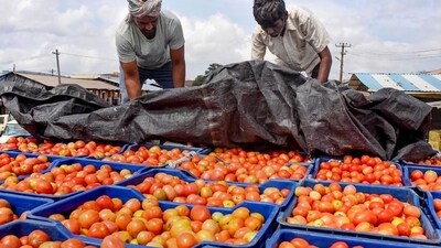 The price of tomatoes has been rising for the past weeks.