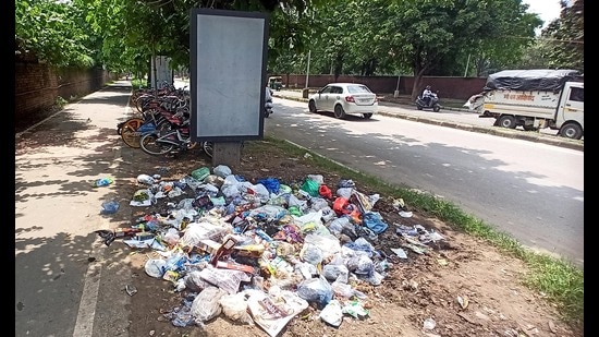 Garbage strewn along the road at Nayagaon village entry point in Chandigarh on Wednesday. (Ravi Kumar/HT)