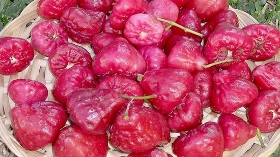 An excellent choice for quenching thirst, even effective at releasing the sunstroke and removing harmful effects of dehydration proving its usefulness in dispelling summer heat&nbsp;(Pinterest)