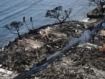 An aerial image taken on August 10, 2023 shows destroyed homes and buildings burned to the ground in Lahaina in the aftermath of wildfires in western Maui, Hawaii. At least 36 people have died after a fast-moving wildfire turned Lahaina to ashes, officials said August 9, 2023 as visitors asked to leave the island of Maui found themselves stranded at the airport. The fires began burning early August 8, scorching thousands of acres and putting homes, businesses and 35,000 lives at risk on Maui, the Hawaii Emergency Management Agency said in a statement. (Photo by Patrick T. Fallon / AFP)