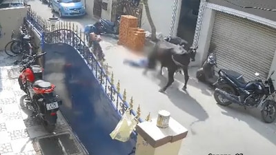 While it moved away for a bit, the cow came back and attacked the girl, leaving her in a critical condition. (Screengrab)