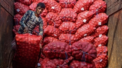 A worker unloads sacks of onions from a truck, at a wholesale vegetable market in Jalandhar (PTI) A worker unloads sacks of onions from a truck, at a wholesale vegetable market in Jalandhar (PTI)