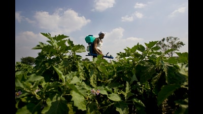 The SCAC will help mitigate climate change effects on local levels, which in return will help farmers prepare better for unseasonal rains as well as be useful for health sector, disaster relief etc. (HT PHOTO) The SCAC will help mitigate climate change effects on local levels, which in return will help farmers prepare better for unseasonal rains as well as be useful for health sector, disaster relief etc. (HT PHOTO)