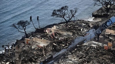 An aerial image taken on August 10, 2023 shows destroyed homes and buildings burned to the ground in Lahaina in the aftermath of wildfires in western Maui, Hawaii. At least 36 people have died after a fast-moving wildfire turned Lahaina to ashes, officials said August 9, 2023 as visitors asked to leave the island of Maui found themselves stranded at the airport. The fires began burning early August 8, scorching thousands of acres and putting homes, businesses and 35,000 lives at risk on Maui, the Hawaii Emergency Management Agency said in a statement. (Photo by Patrick T. Fallon / AFP) (AFP) An aerial image taken on August 10, 2023 shows destroyed homes and buildings burned to the ground in Lahaina in the aftermath of wildfires in western Maui, Hawaii. At least 36 people have died after a fast-moving wildfire turned Lahaina to ashes, officials said August 9, 2023 as visitors asked to leave the island of Maui found themselves stranded at the airport. The fires began burning early August 8, scorching thousands of acres and putting homes, businesses and 35,000 lives at risk on Maui, the Hawaii Emergency Management Agency said in a statement. (Photo by Patrick T. Fallon / AFP) (AFP)