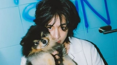 V's solo album "Layover" sparks ARMY excitement, with his dog Yeontan making waves. From concept photos to a cameo in "Rainy Days" MV, Yeontan steals hearts. V's solo album "Layover" sparks ARMY excitement, with his dog Yeontan making waves. From concept photos to a cameo in "Rainy Days" MV, Yeontan steals hearts.