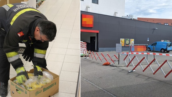 The image shows a rescuer searching for a Brazilian wandering spider in a banana box. (feuerwehr-krems)