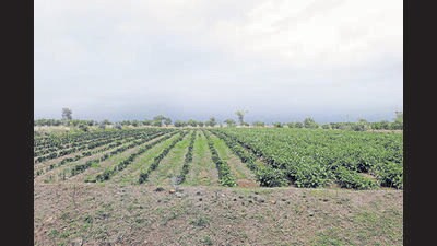 Despite having all clearances from central and state agencies, the Purandar Airport work is pending only due to land acquisition issues (HT FILE PHOTO) Despite having all clearances from central and state agencies, the Purandar Airport work is pending only due to land acquisition issues (HT FILE PHOTO)