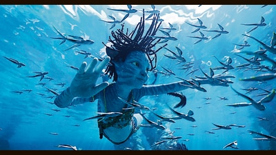 Unlike the Na’vi of the Avatar films, the stripes in the human body can only be seen under intense ultraviolet rays. Unlike the Na’vi of the Avatar films, the stripes in the human body can only be seen under intense ultraviolet rays.