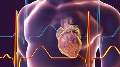Human heart with heart vessles inside human body and ECG, 3D illustration (Getty Images/iStockphoto) Human heart with heart vessles inside human body and ECG, 3D illustration (Getty Images/iStockphoto)
