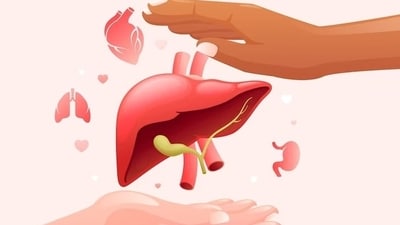 The term organ donation means a noble act in which a person donates his/her organ to another person who is suffering from organ failure. (Freepik) The term organ donation means a noble act in which a person donates his/her organ to another person who is suffering from organ failure. (Freepik)