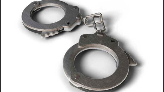 Cattle smuggler held after encounter with police in Haryana’s Nuh