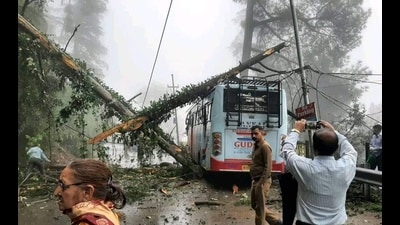 One person was injured after a tree fell on a bus in Shimla. (Deepak Sansta/HT) One person was injured after a tree fell on a bus in Shimla. (Deepak Sansta/HT)