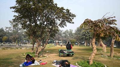 The horticulture department oversees 15,226 parks spread over an area of 5,172 acres. (File photo) The horticulture department oversees 15,226 parks spread over an area of 5,172 acres. (File photo)