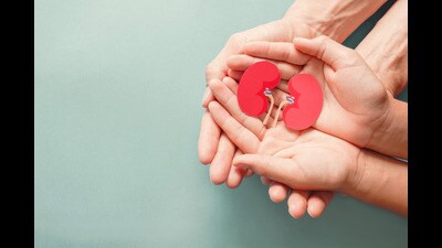 World Organ Donation Day will be observed on Sunday (For representation) World Organ Donation Day will be observed on Sunday (For representation)
