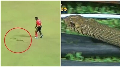 Snake trouble continues in LPL 2023 Snake trouble continues in LPL 2023