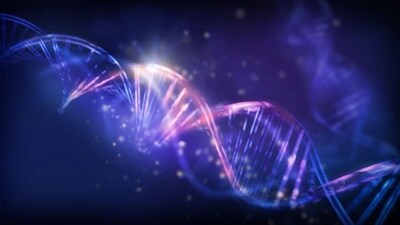 The researchers found 169 functionally diverse genes that impacted melanin production. (Unsplash/ Representational)