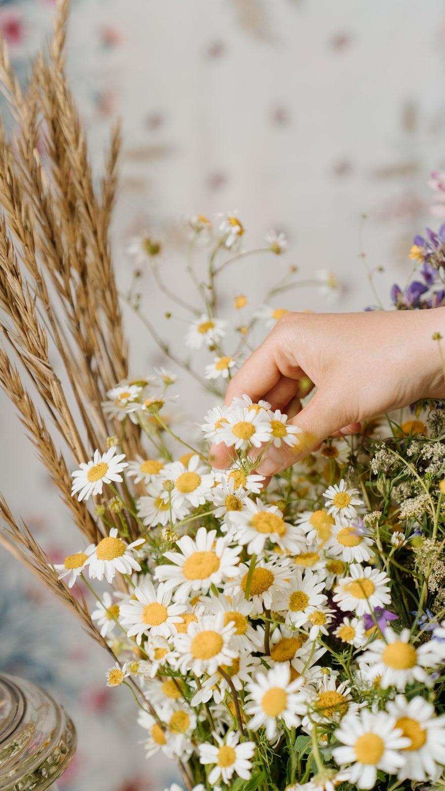 5_healthy_herbs_with_skin_healing_properties