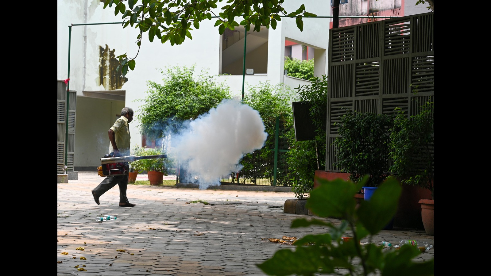 Dengue hospitalisations on the rise in Pune city - Vimarsana News