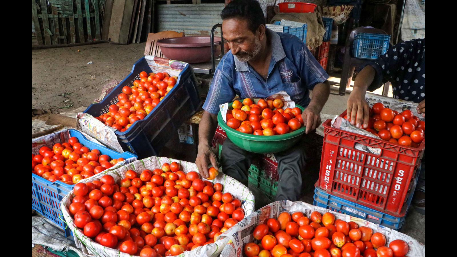 India imports tomato from Nepal, prices ease - Vimarsana News