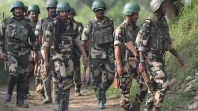 BSF troops fired upon the miscreant in self-defence. (File photo)