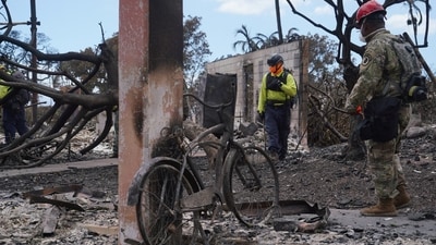 Aftermath of the Maui Wildfires (REUTERS)