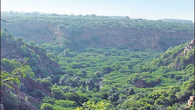 Odisha government directs all district collectors to ensure that diversion of forest land for infrastructure projects. follow provisions of the new law. (HT Archives) Odisha government directs all district collectors to ensure that diversion of forest land for infrastructure projects. follow provisions of the new law. (HT Archives)