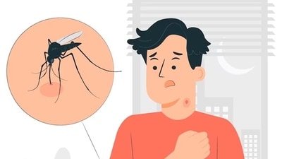 Dengue is a vector borne which is characterised by high fever, body ache, headache, pain around eyes, joint pains, skin rash, myalgia, nausea etc. (Freepik) Dengue is a vector borne which is characterised by high fever, body ache, headache, pain around eyes, joint pains, skin rash, myalgia, nausea etc. (Freepik)
