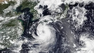 The typhoon, arriving in the middle of the Bon Buddhist holiday week, is expected to affect many Japanese traveling to visit their families and relatives. The typhoon, arriving in the middle of the Bon Buddhist holiday week, is expected to affect many Japanese traveling to visit their families and relatives.